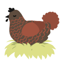 A bark and russet chicken with a lace pattern