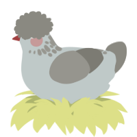 A silver and ash chicken with a neck-speckle pattern