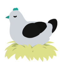 A mist and black chicken