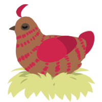 A brown and crimson chicken with a bar pattern
