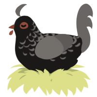 A sable and grey chicken with a half-lace pattern