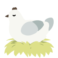 A white and silver chicken
