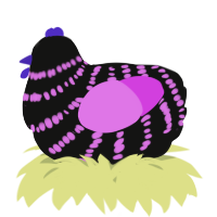 A black and orchid chicken with a bar pattern