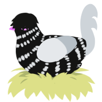 (unnamed), a black and mist chicken with a bar pattern