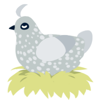 The ChoirMaster, a silver and mist chicken with a speckle pattern