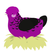 A plum and black chicken with a half-lace pattern