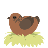A brown and bark chicken with a neck-speckle pattern