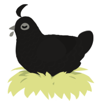 A sable chicken with a lace pattern