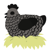 A grey and black chicken with a lace pattern