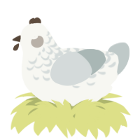 A white and silver chicken with a half-lace pattern