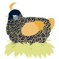 A tumblr and honey chicken with a double-lace pattern