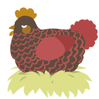A bark and red chicken with a lace pattern