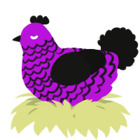 A amethyst and black chicken with a lace pattern