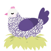 A white and overcast chicken with a double-lace pattern
