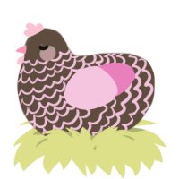 A bark and pink chicken with a lace pattern
