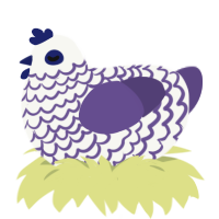 Oignon coupé, a white and overcast chicken with a lace pattern