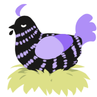 A sable and lilac chicken with a bar pattern