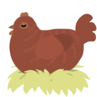 A russet chicken with a half-bar pattern