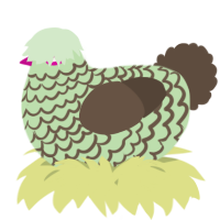 A gluppy and bark chicken with a lace pattern