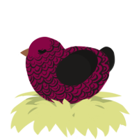 A maroon and sable chicken with a double-lace pattern