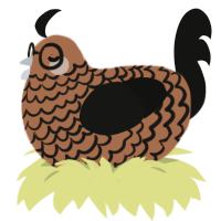 Cold Brew, a brown and black chicken with a lace pattern