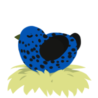 A ultramarine and black chicken with a speckle pattern