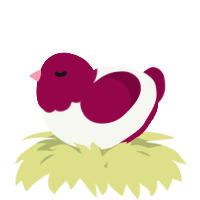 A white and maroon chicken with a head pattern