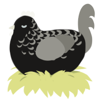 Charcoal, a sable and ash chicken with a half-lace pattern