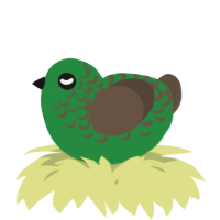 A viridian and bark chicken with a half-lace pattern