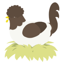 A white and bark chicken with a head pattern