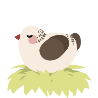 A cream and bark chicken with a neck-band pattern