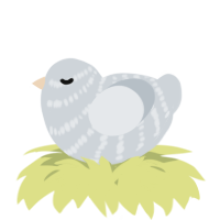 A mist chicken with a bar pattern