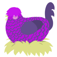 Dazzler, a amethyst and overcast chicken with a lace pattern