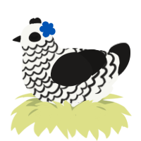 Bleach, a white and sable chicken with a lace pattern