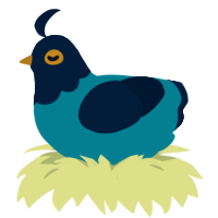 I like women, a sea and tumblr chicken with a head pattern