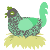 Harold, a grey and spring chicken with a double-lace pattern