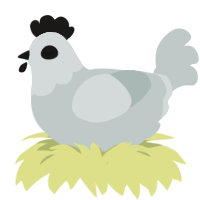 Ghost, a silver chicken with a head pattern