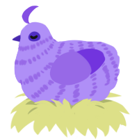 Ooba, a lilac and blurple chicken with a bar pattern