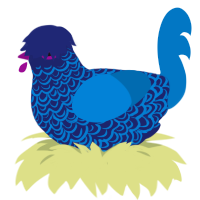 Azualea, a navy and sapphire chicken with a double-lace pattern