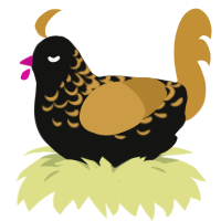 donnie, a black and gold chicken with a half-lace pattern