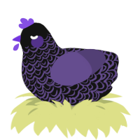Skillet Fan, a black and overcast chicken with a double-lace pattern