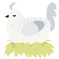 Midwinter, a white and mist chicken with a half-lace pattern