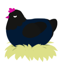 A tumblr and black chicken with a head pattern