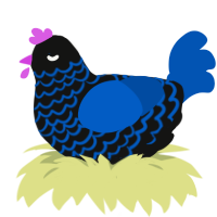 (unnamed), a black and ultramarine chicken with a lace pattern