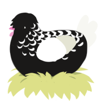 A sable and white chicken with a half-lace pattern