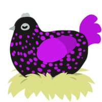 Silver Lining, a sable and amethyst chicken with a speckle pattern