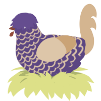 A overcast and beige chicken with a lace pattern