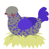 A ash and indigo chicken with a speckle pattern