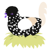 A black and cream chicken with a speckle pattern