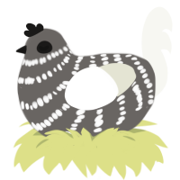 Disturbed Dreams, a grey and white chicken with a bar pattern